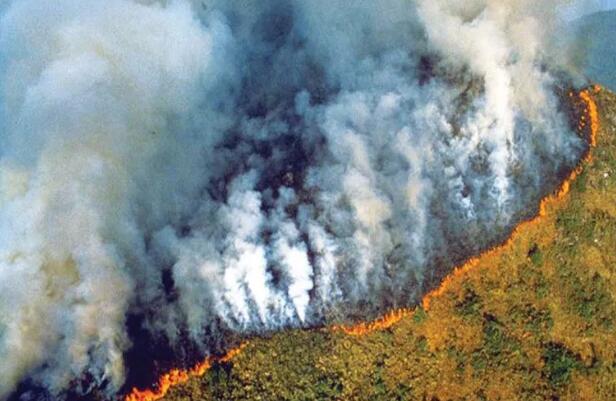 燃燒超過21天的南半球，這是世界上最殘酷的一幕……